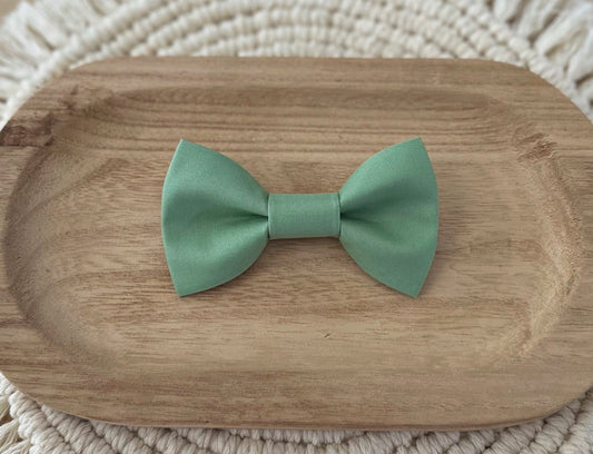 Green Bow Tie