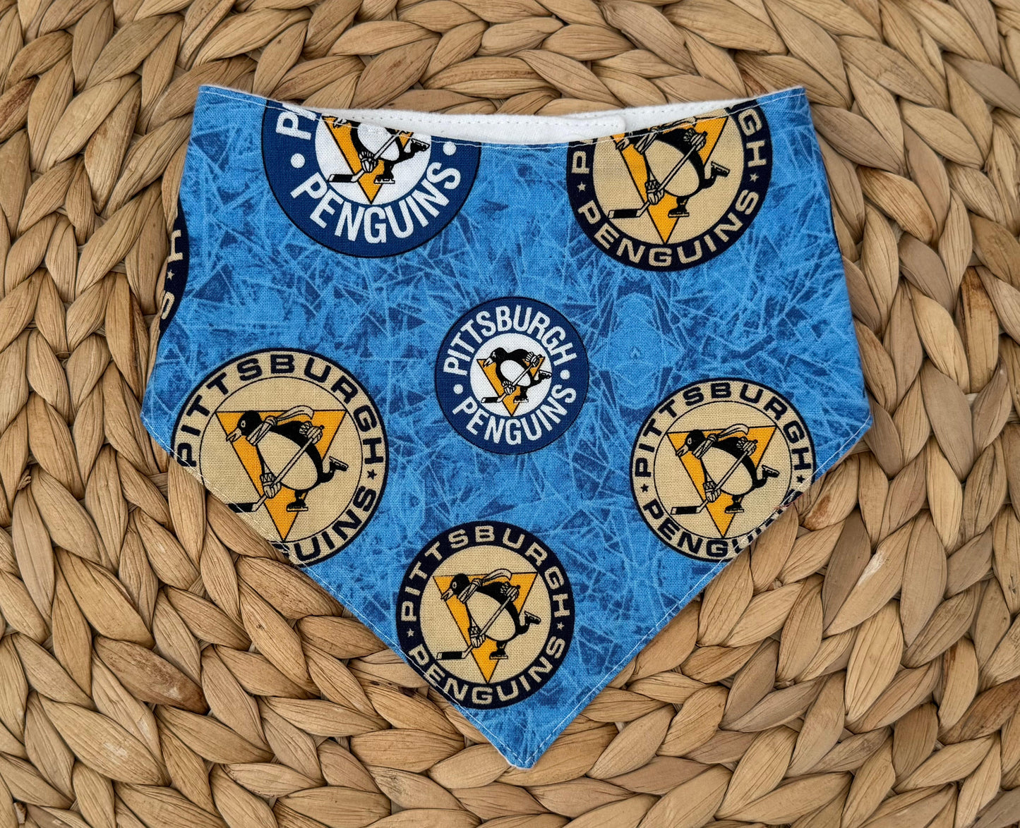 Pittsburgh Penguins Baby Bib