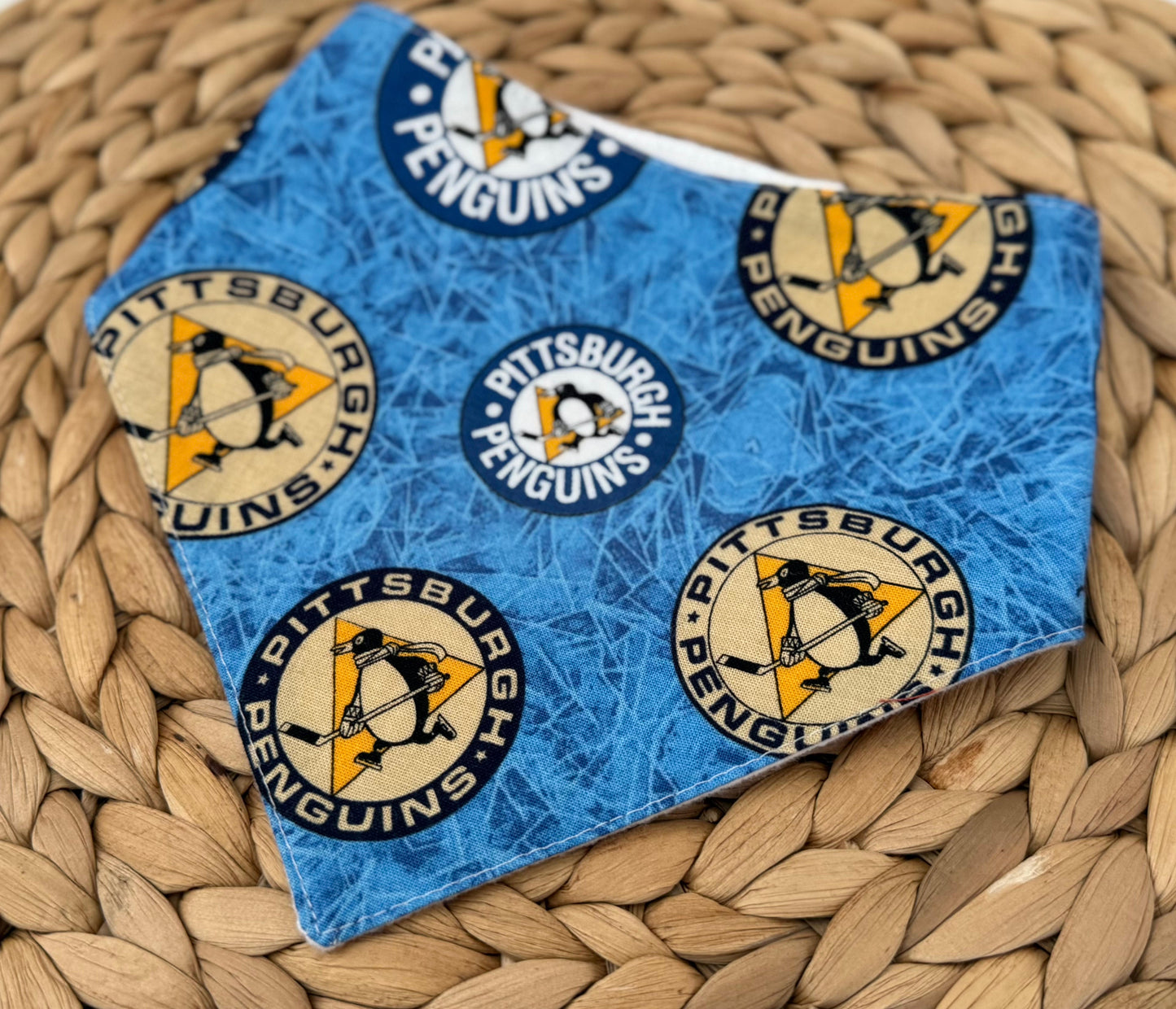 Pittsburgh Penguins Baby Bib