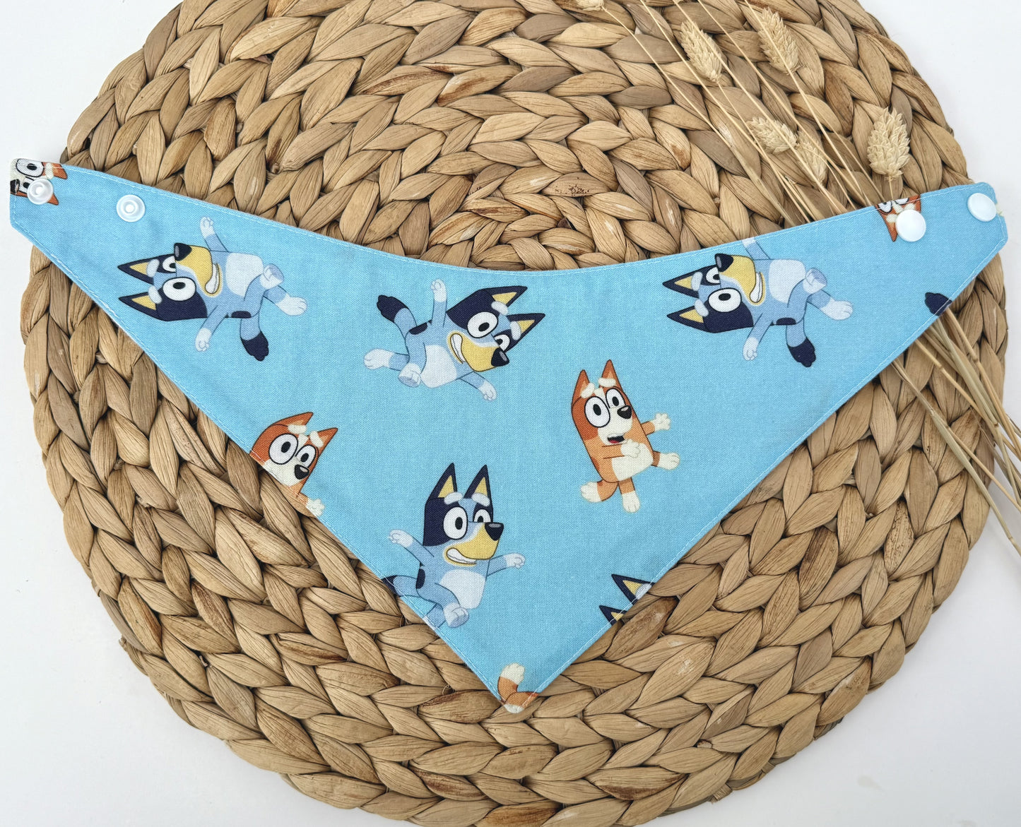 Blue Bluey Baby Bib