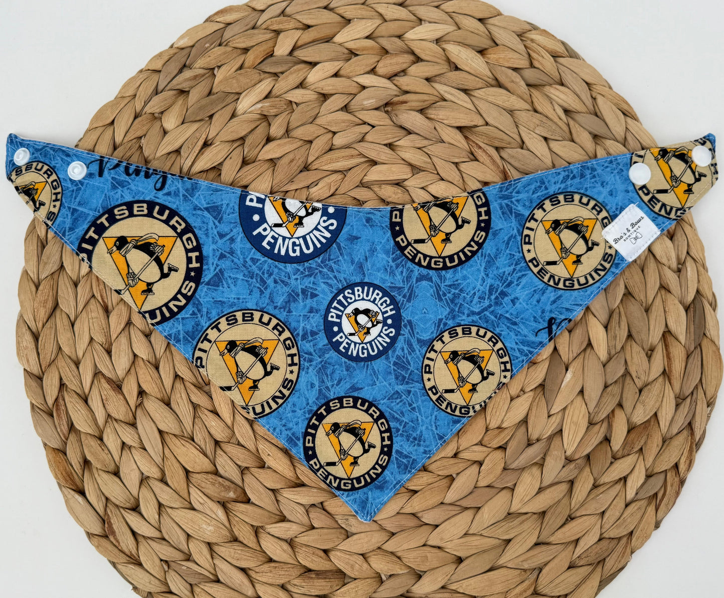 Pittsburgh Penguins Baby Bib