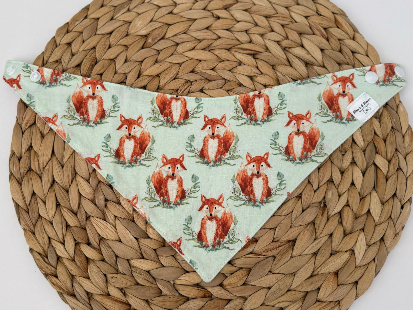Foxes Baby Bib