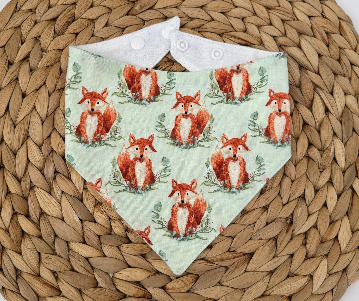 Foxes Baby Bib