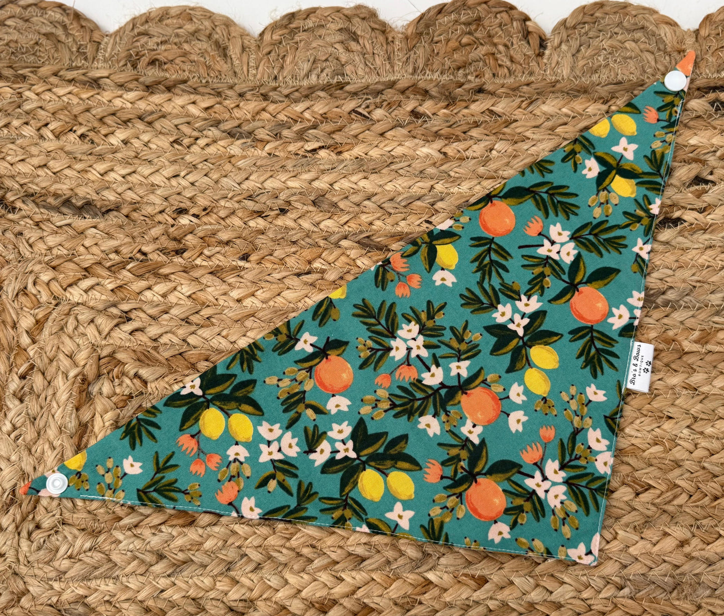 Lemons and Peaches Pet Bandana Bib